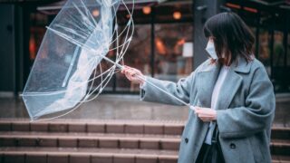 風はなぜ吹くの？発生の仕組みと向きが変わる理由を解説