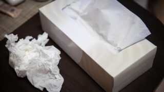 なぜティッシュは2枚重ねなの？1枚じゃダメな理由は「柔らかさ・吸水性・肌ざわり」