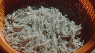 雑魚ってなんで「ざこ」って読むの?ざつぎょじゃダメなの?