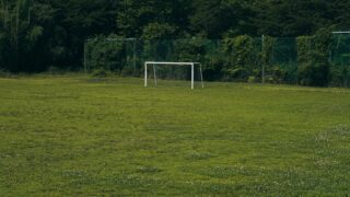 【動画付き】札幌ドームでゴールを決めた後に看板を飛び越えて落下したサッカー選手まとめ【大和ハウスプレミストドーム】