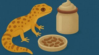 【最新版】レオパ/ニシアフの人工餌おすすめ比較｜国内製品一覧と初心者向けベスト3